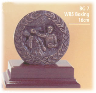 Boxing Trophy 1